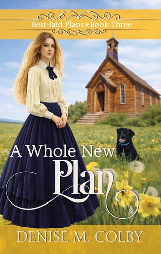 AWholeNewPlan